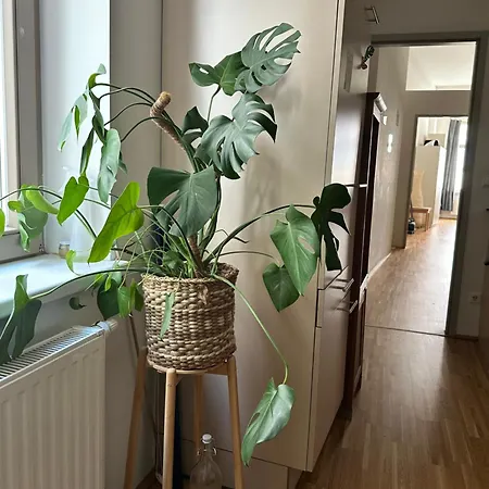 Main Square Flat * Graz